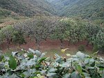RoccoloAvesaGanda 073